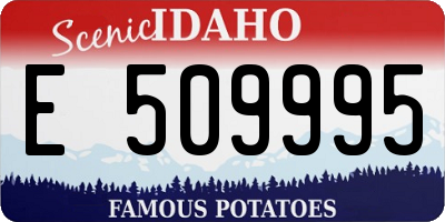 ID license plate E509995