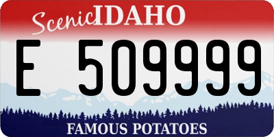 ID license plate E509999