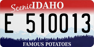 ID license plate E510013
