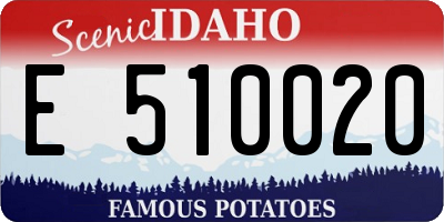 ID license plate E510020