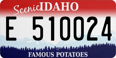 ID license plate E510024