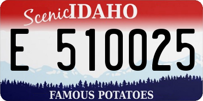 ID license plate E510025