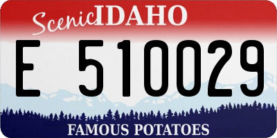 ID license plate E510029