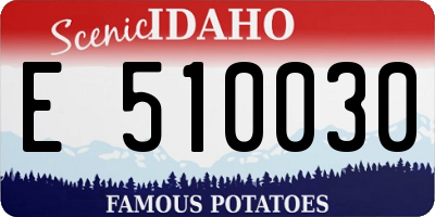 ID license plate E510030