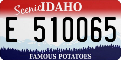 ID license plate E510065