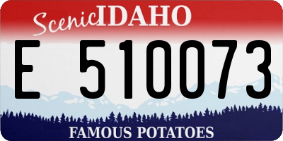 ID license plate E510073