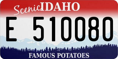 ID license plate E510080