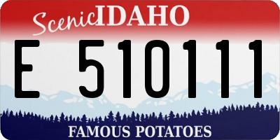 ID license plate E510111