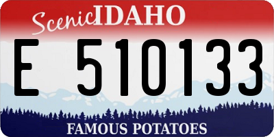 ID license plate E510133
