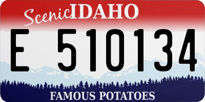 ID license plate E510134