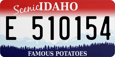 ID license plate E510154