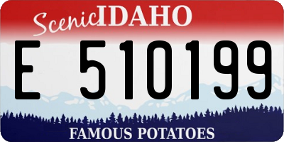 ID license plate E510199