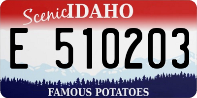 ID license plate E510203