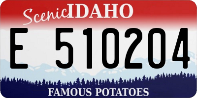 ID license plate E510204