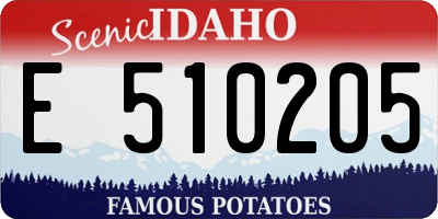 ID license plate E510205