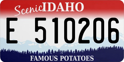 ID license plate E510206