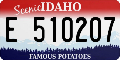 ID license plate E510207