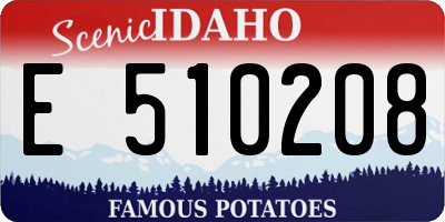 ID license plate E510208