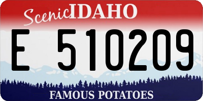 ID license plate E510209