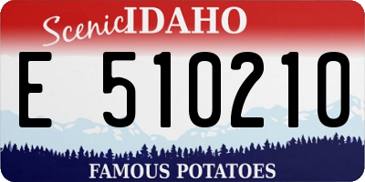 ID license plate E510210