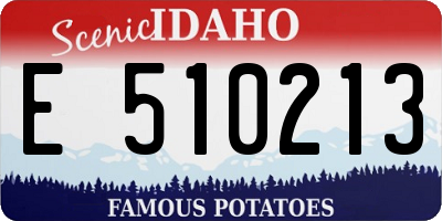 ID license plate E510213