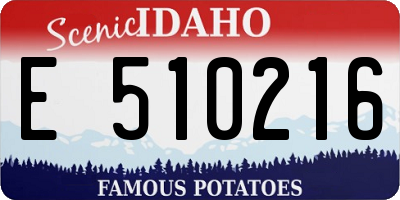 ID license plate E510216