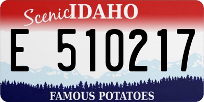 ID license plate E510217