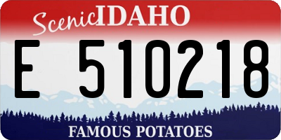 ID license plate E510218
