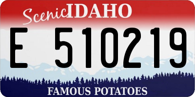 ID license plate E510219