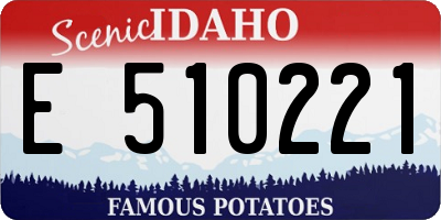 ID license plate E510221