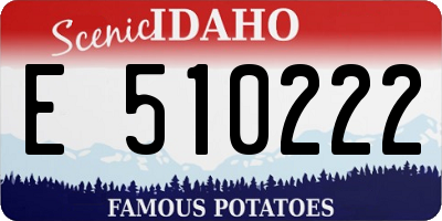 ID license plate E510222