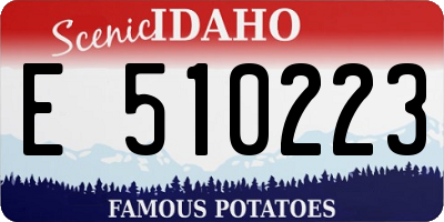 ID license plate E510223