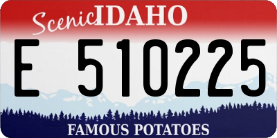 ID license plate E510225