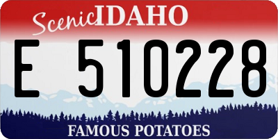 ID license plate E510228