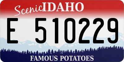 ID license plate E510229