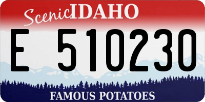 ID license plate E510230