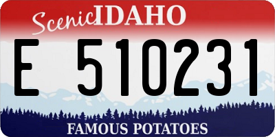 ID license plate E510231