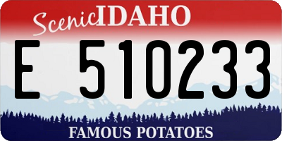 ID license plate E510233