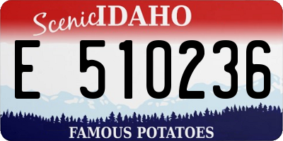 ID license plate E510236
