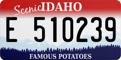 ID license plate E510239