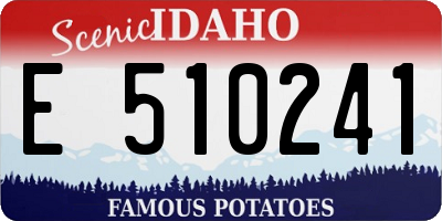 ID license plate E510241