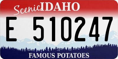 ID license plate E510247