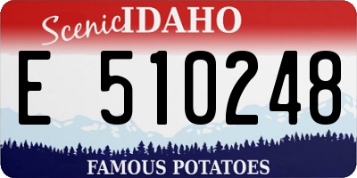 ID license plate E510248