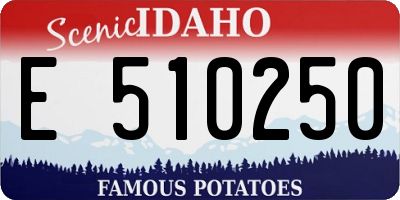ID license plate E510250