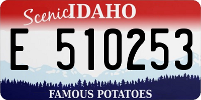 ID license plate E510253