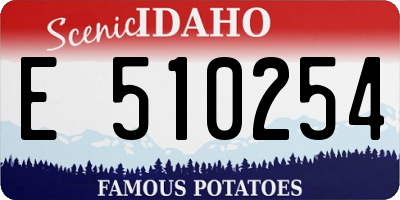 ID license plate E510254