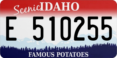ID license plate E510255