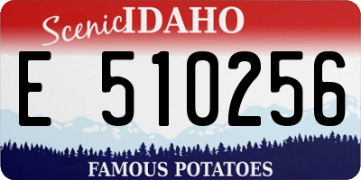ID license plate E510256