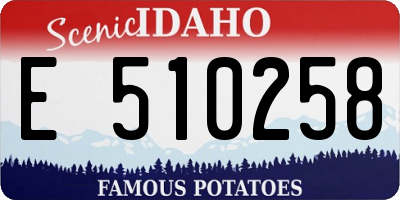 ID license plate E510258