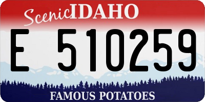 ID license plate E510259